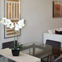Arrangements & Greenery-Kirkland's Home Orchid Arrangement In Black Pot White/Black