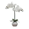 Arrangements & Greenery-Kirkland's Home Orchid Arrangement In Floral Planter White