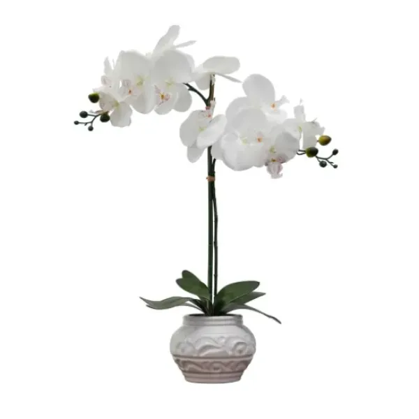 Arrangements & Greenery-Kirkland's Home Orchid Arrangement In Floral Planter White