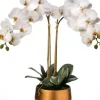 Arrangements & Greenery-Kirkland's Home Orchid Arrangement In Gold Pot, 22 In. White