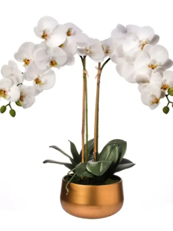 Arrangements & Greenery-Kirkland's Home Orchid Arrangement In Gold Pot, 22 In. White