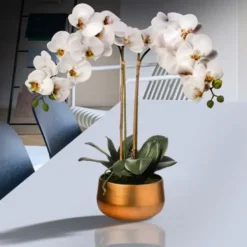 Arrangements & Greenery-Kirkland's Home Orchid Arrangement In Gold Pot, 22 In. White
