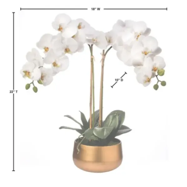Arrangements & Greenery-Kirkland's Home Orchid Arrangement In Gold Pot, 22 In. White