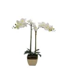 Arrangements & Greenery-Kirkland's Home Orchid Arrangement In Gold Pot White/Gold