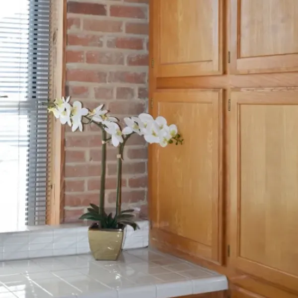 Arrangements & Greenery-Kirkland's Home Orchid Arrangement In Gold Pot White/Gold