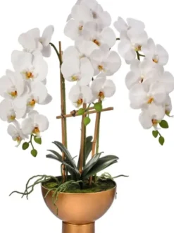 Arrangements & Greenery-Kirkland's Home Orchid Arrangement In Gold Pot, 25 In. White