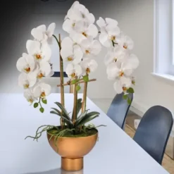 Arrangements & Greenery-Kirkland's Home Orchid Arrangement In Gold Pot, 25 In. White