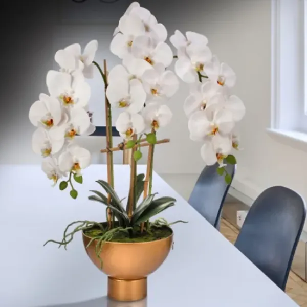 Arrangements & Greenery-Kirkland's Home Orchid Arrangement In Gold Pot, 25 In. White