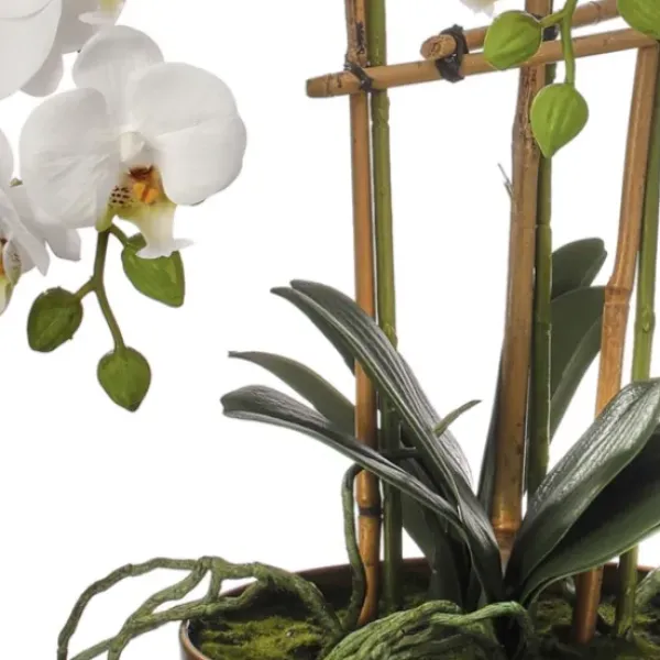 Arrangements & Greenery-Kirkland's Home Orchid Arrangement In Gold Pot, 25 In. White