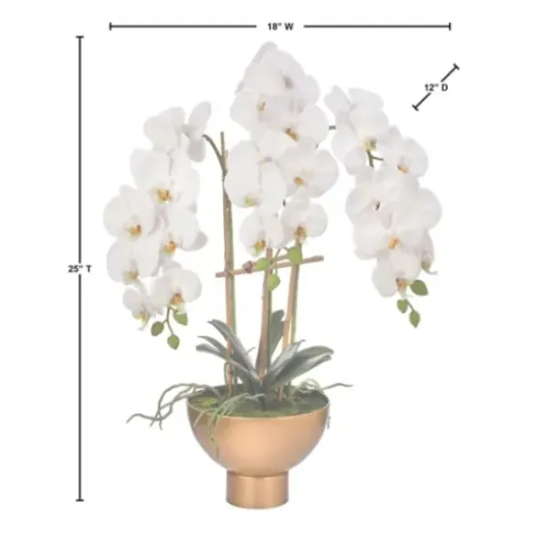 Arrangements & Greenery-Kirkland's Home Orchid Arrangement In Gold Pot, 25 In. White