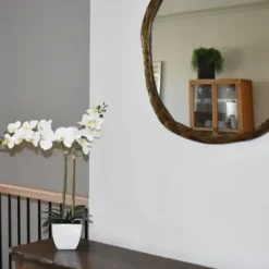 Arrangements & Greenery-Kirkland's Home Orchid Arrangement In Pot White