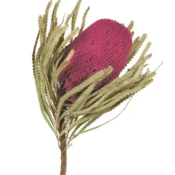 Stems & Bouquets-Kirkland's Home Orchid Dried Jumbo Banksia Stems, Set Of 3 Purple