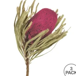 Stems & Bouquets-Kirkland's Home Orchid Dried Jumbo Banksia Stems, Set Of 3 Purple