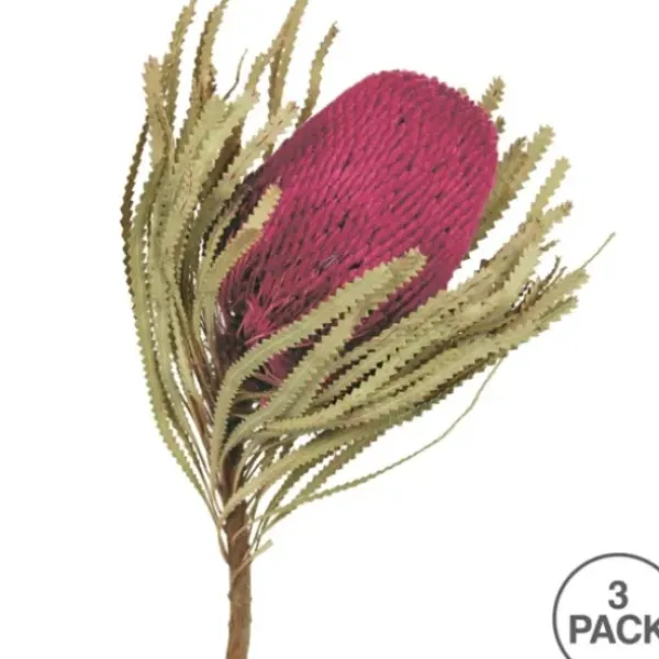 Stems & Bouquets-Kirkland's Home Orchid Dried Jumbo Banksia Stems, Set Of 3 Purple