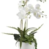 Arrangements & Greenery-Kirkland's Home Orchids In Ceramic Bowl White