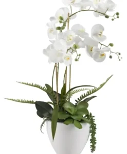 Arrangements & Greenery-Kirkland's Home Orchids In Ceramic Bowl White