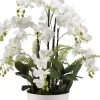 Arrangements & Greenery-Kirkland's Home Orchids In Round Ceramic Dish White