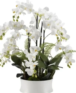 Arrangements & Greenery-Kirkland's Home Orchids In Round Ceramic Dish White