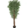 Trees & Topiaries-Kirkland's Home Outdoor Variegated Ficus Tree In Black Planter