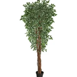 Trees & Topiaries-Kirkland's Home Outdoor Variegated Ficus Tree In Black Planter