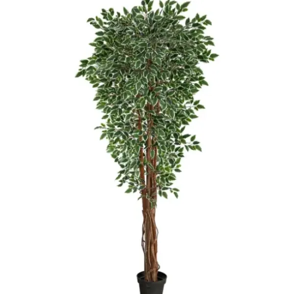 Trees & Topiaries-Kirkland's Home Outdoor Variegated Ficus Tree In Black Planter