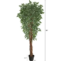 Trees & Topiaries-Kirkland's Home Outdoor Variegated Ficus Tree In Black Planter