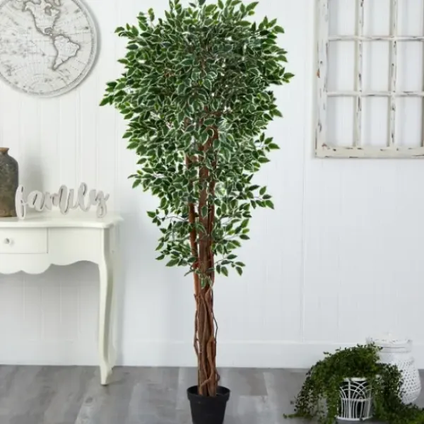 Trees & Topiaries-Kirkland's Home Outdoor Variegated Ficus Tree In Black Planter