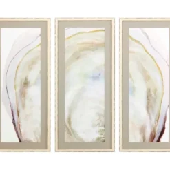 Framed Art-Kirkland's Home Oyster Shell 3-Pc. Framed Wall Art Set Tan/Gray/White