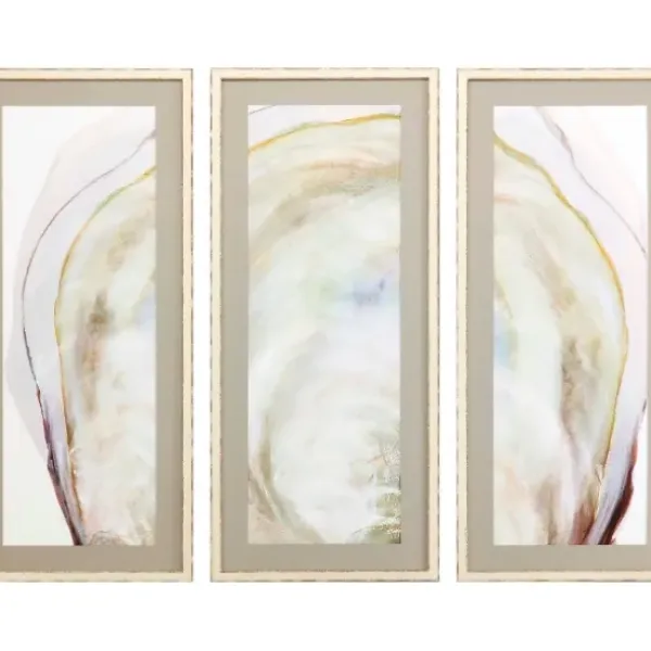 Framed Art-Kirkland's Home Oyster Shell 3-Pc. Framed Wall Art Set Tan/Gray/White