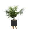 Arrangements & Greenery-Kirkland's Home Palm Arrangement In Gray Footed Pot Green/Gray