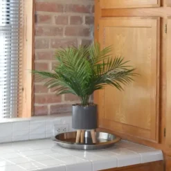 Arrangements & Greenery-Kirkland's Home Palm Arrangement In Gray Footed Pot Green/Gray