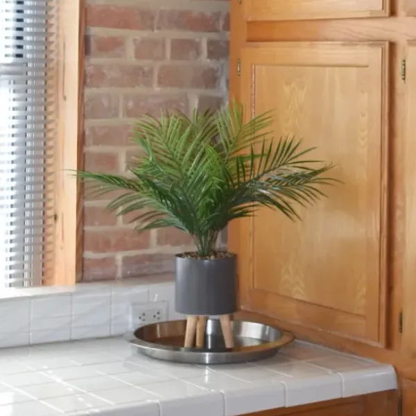 Arrangements & Greenery-Kirkland's Home Palm Arrangement In Gray Footed Pot Green/Gray