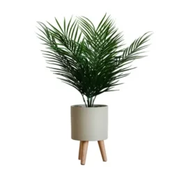 Arrangements & Greenery-Kirkland's Home Palm Arrangement In Tan Footed Pot Green/Tan