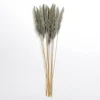 Stems & Bouquets-Kirkland's Home Pampas Bundle Gray