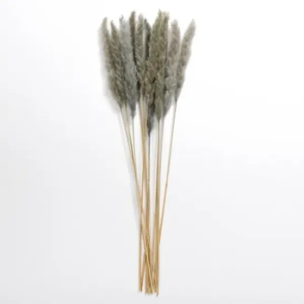 Stems & Bouquets-Kirkland's Home Pampas Bundle Gray