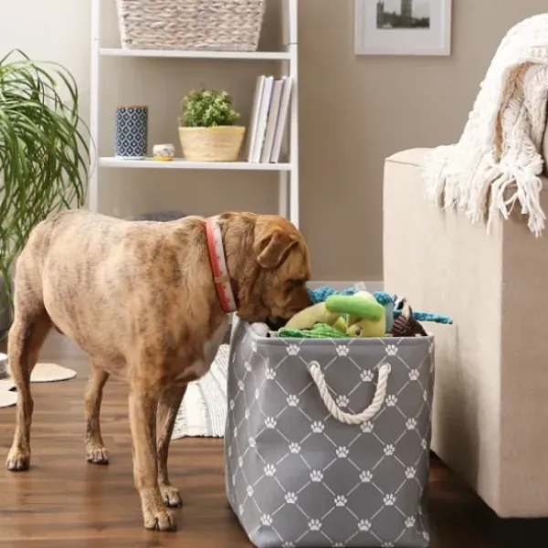 Baskets & Boxes-Kirkland's Home Paw Trellis Rectangle Basket, 17.5 In. Gray