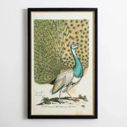 Framed Art-Kirkland's Home Peacock Framed Wall Art Blue/Green/Tan