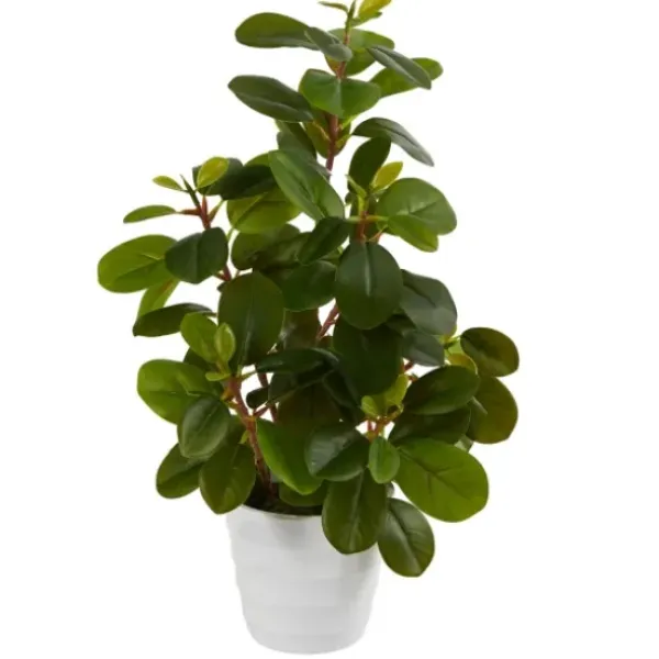 Arrangements & Greenery-Kirkland's Home Peperomia Arrangement In White Planter Green/White