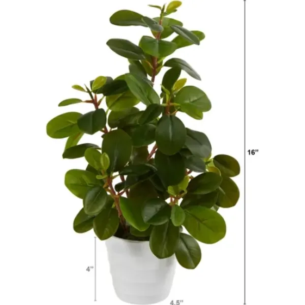 Arrangements & Greenery-Kirkland's Home Peperomia Arrangement In White Planter Green/White