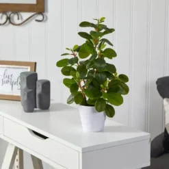 Arrangements & Greenery-Kirkland's Home Peperomia Arrangement In White Planter Green/White