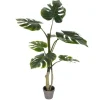 Trees & Topiaries-Kirkland's Home Philodendron Grand Split Potted Tree
