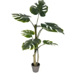 Trees & Topiaries-Kirkland's Home Philodendron Grand Split Potted Tree