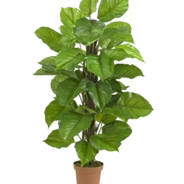 Trees & Topiaries-Kirkland's Home Philodendron In Terra Cotta Planter, 4 Ft.