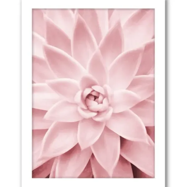Framed Art-Kirkland's Home Pink Beach Photography Framed Art Prints, Set Of 6 Pink/Green