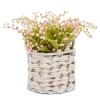 Arrangements & Greenery-Kirkland's Home Pink Lily Of The Valley Arrangement In Basket Pink/Green