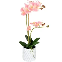 Arrangements & Greenery-Kirkland's Home Pink Orchid Real Touch Arrangement In Ceramic Pot Green/White/Pink