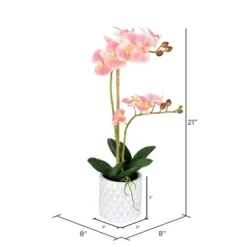 Arrangements & Greenery-Kirkland's Home Pink Orchid Real Touch Arrangement In Ceramic Pot Green/White/Pink