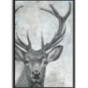 Canvas Art-Kirkland's Home Portrait Of A Deer Framed Giclee Canvas Art Print Black/White/Gray