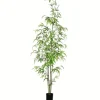 Trees & Topiaries-Kirkland's Home Potted Bamboo Tree, 5 Ft.