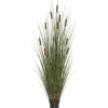 Trees & Topiaries-Kirkland's Home Potted Brown Cats Tails Grass, 48 In.